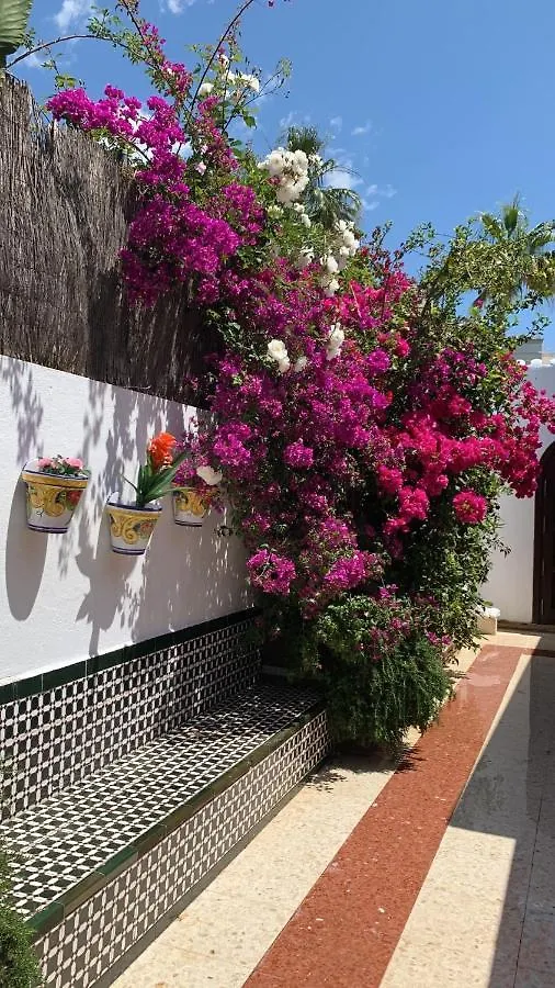 Marbella Villa On The Beach